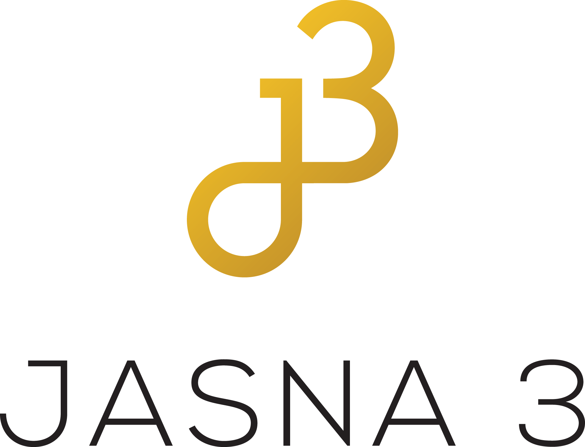 Logo JASNA 3