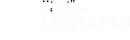Logo Lewiatan - Pracodawcy Lubelszczyzny